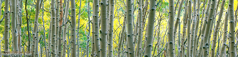 Home Header Image